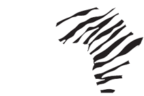 african film company south africa